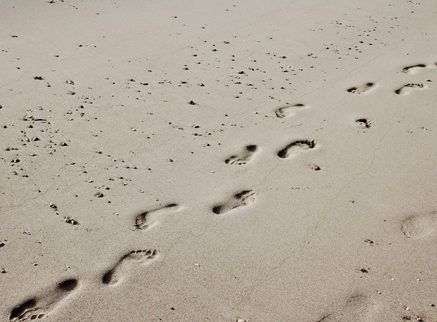 Hallux_Valgus_02_bearb