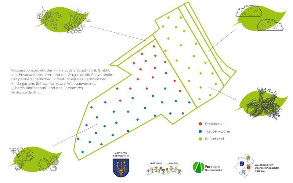 wald-200851-infotafel-baumpflanzaktion-web3